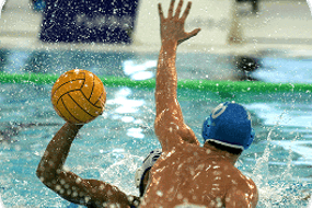 water_polo_and_swimming_04.png