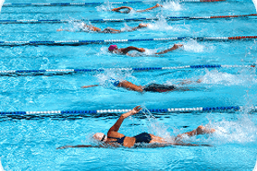 water_polo_and_swimming_03.png