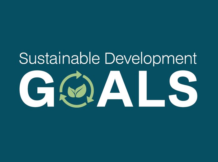 SDG.png