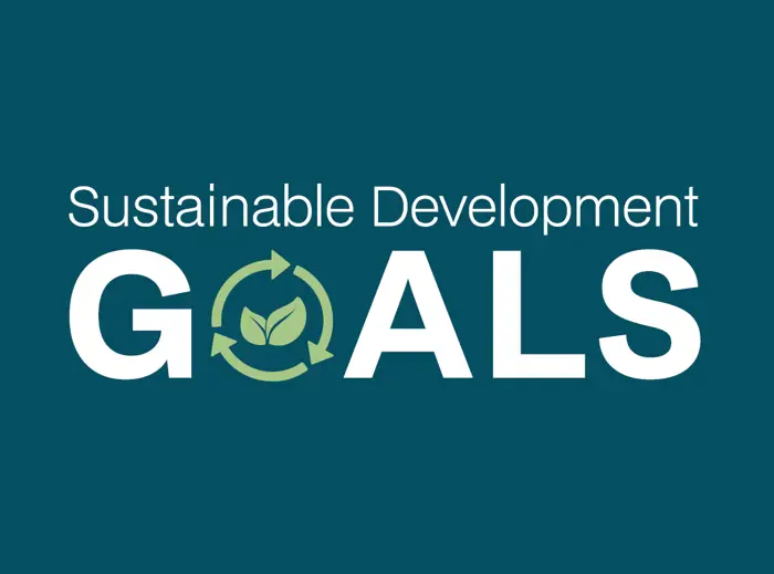 SDG.png