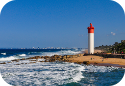 dbn1